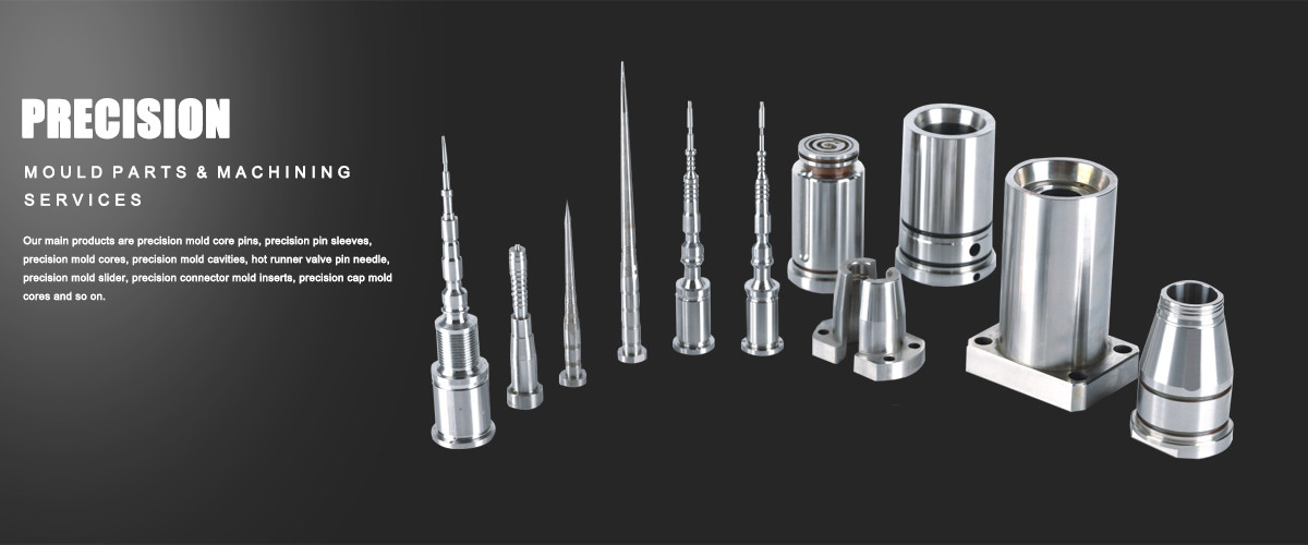 Plastic Mould Parts