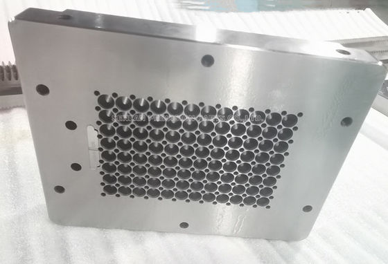 Precision Multi-Cavity Pipette Tips Mold Insert for Medical Injection Mold Tooling