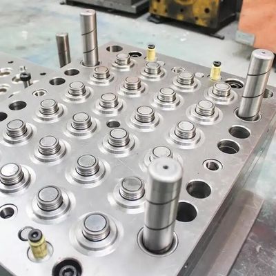 Eco-Friendly Multi Cavity High Precision Plastic Injection Mold for Bottle Caps with Hot Runner System
