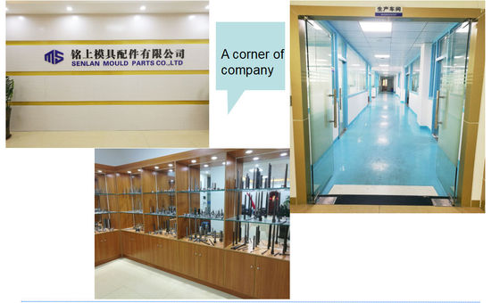 Precision Mould Parts Side Core and Slide Core Unit for Custom Size Injection Mold Components with Quick Delivery