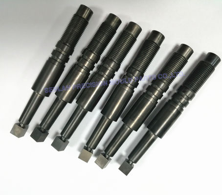 Nitriding Square Head Mold Parts | Precision Threaded Plastic Components