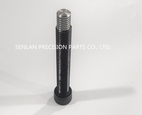 STD Material Precision Mould Parts Plastic Stripping Bolt Screw